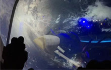 美國奧蘭多NASA太空探索+全真插班游學營13天