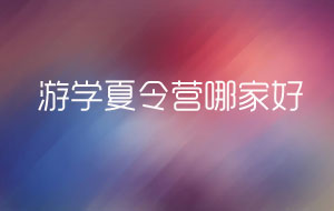 游學夏令營機構(gòu)